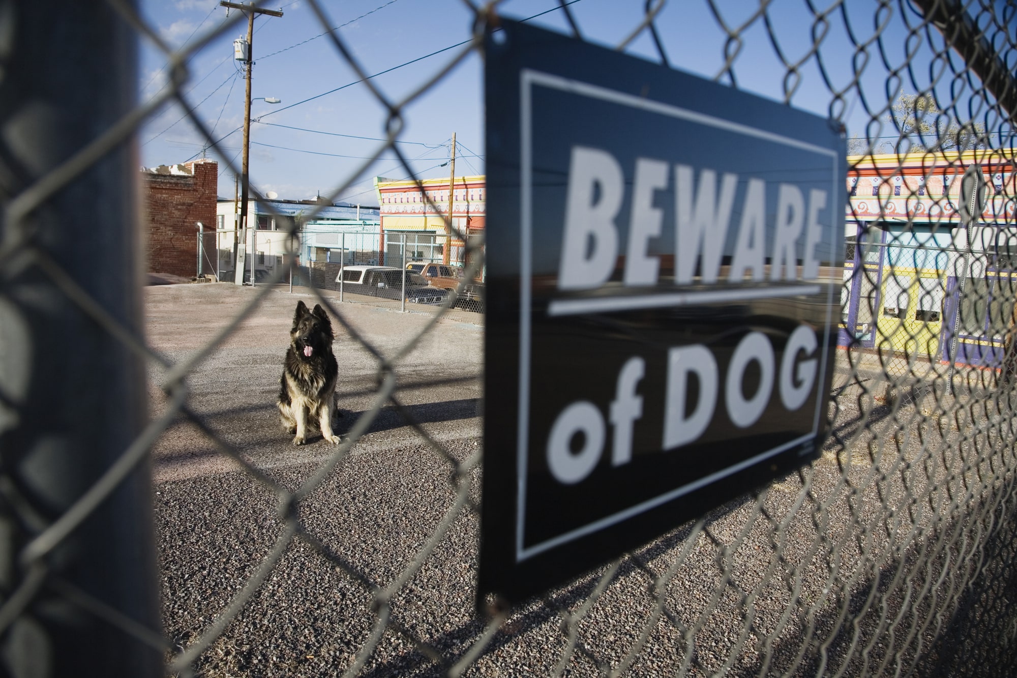 Common causes of dog bites in New Jersey